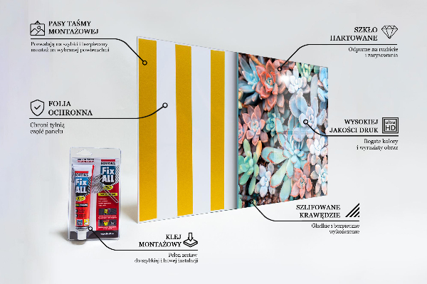 Konyhai fali panel Színes pozsgás növények