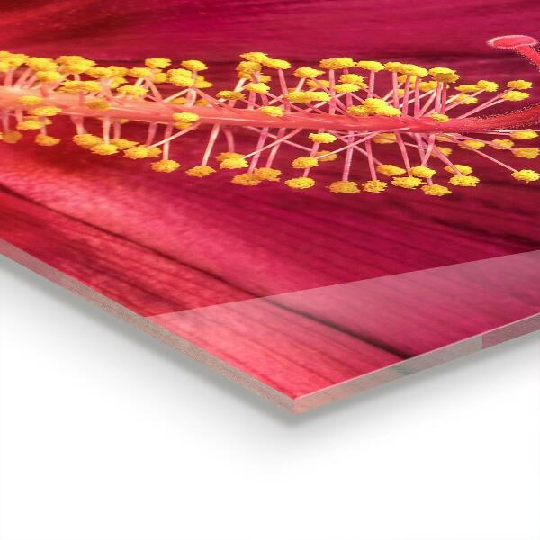 Konyhai fali panel Rózsaszín hibiszkusz