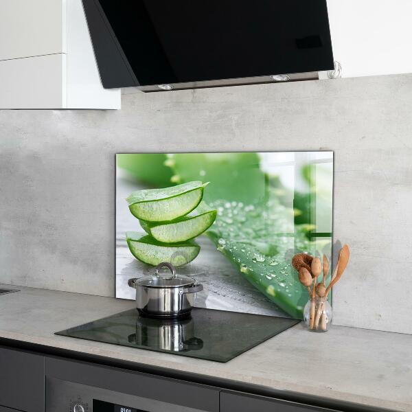 Konyhai hátfal panel Aloe aloe vera növény