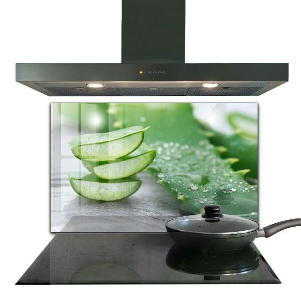 Konyhai hátfal panel Aloe aloe vera növény