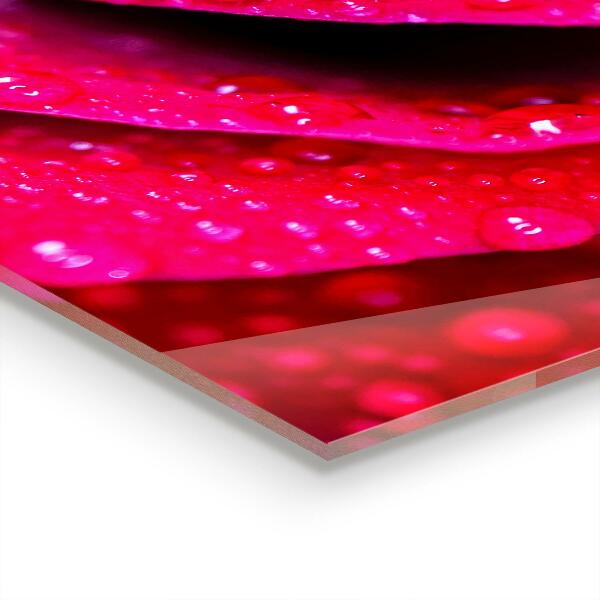 Konyhai hátfal panel Rózsa a szerelem szimbóluma