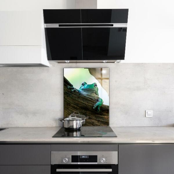 Konyhai panel Kíváncsi béka egy levélen