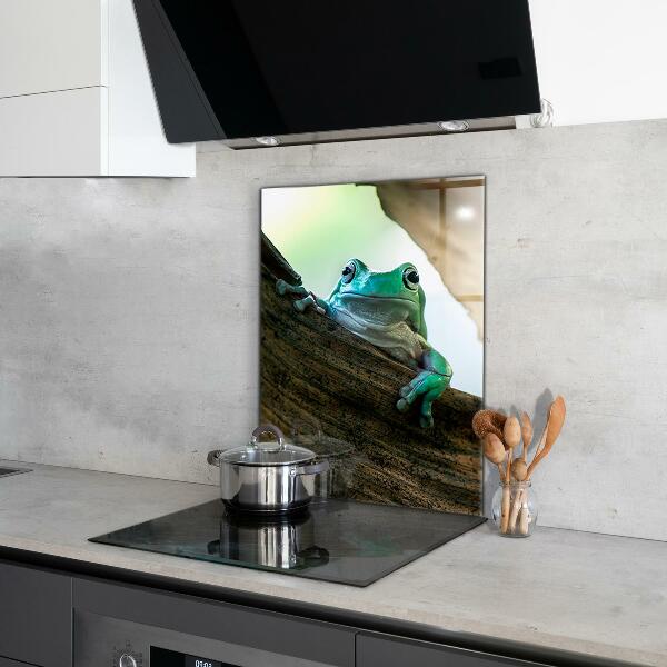 Konyhai panel Kíváncsi béka egy levélen