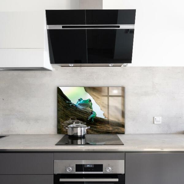 Konyhai panel Kíváncsi béka egy levélen