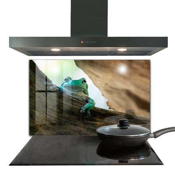 Konyhai panel Kíváncsi béka egy levélen