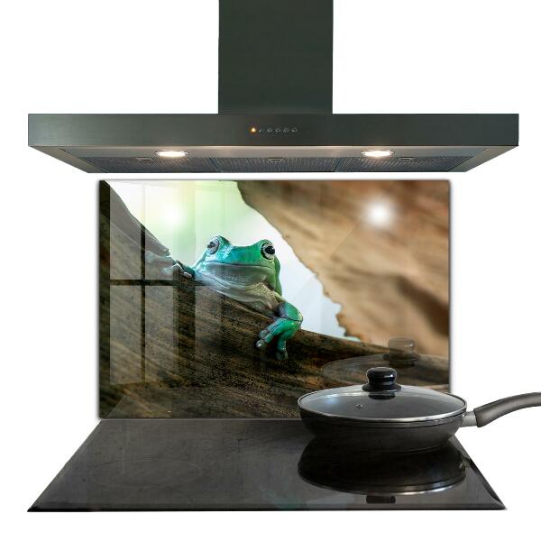 Konyhai panel Kíváncsi béka egy levélen