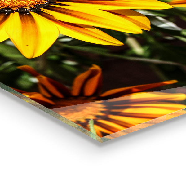 Konyhai hátfal panel Sárga virág a réten