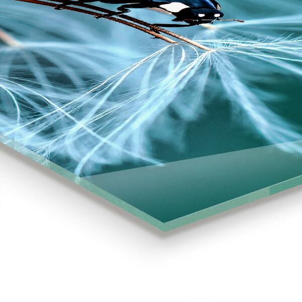 Konyhai panel Katicabogár vörös bogár