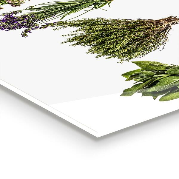 Konyhai panel Szárított gyógynövények a természet ereje