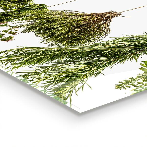 Konyhai panel Szárított gyógynövények gyógynövény