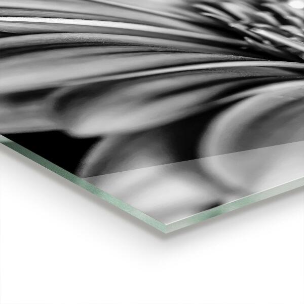 Konyhai hátfal panel Gerber fekete-fehér fotó