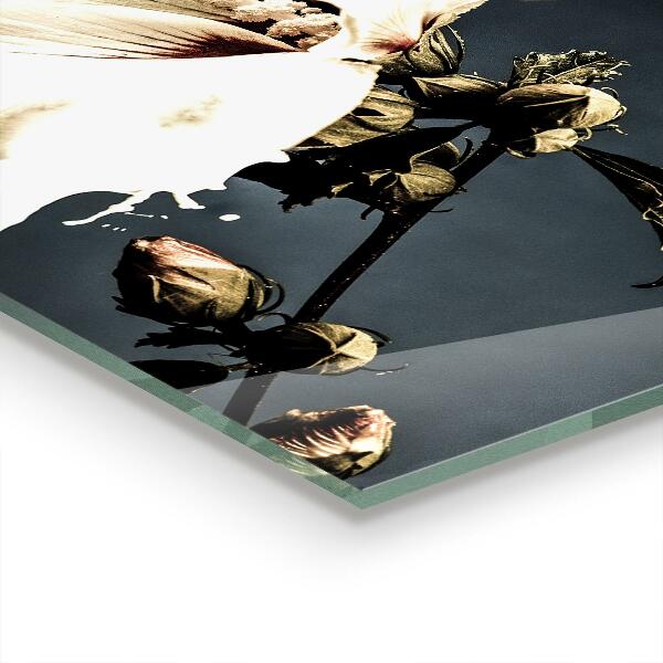 Konyhai hátfal panel Absztrakt fehér virág