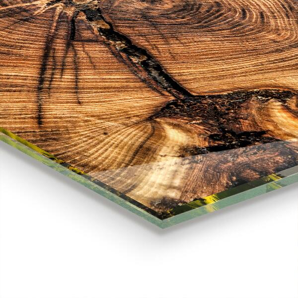 Konyhai üveg fali panel Törzs textúrája