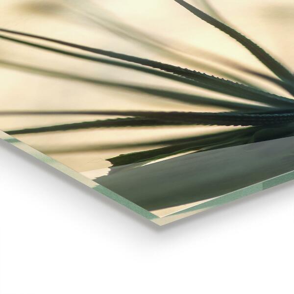 Konyhai hátfal panel Gyönyörű finom pitypang