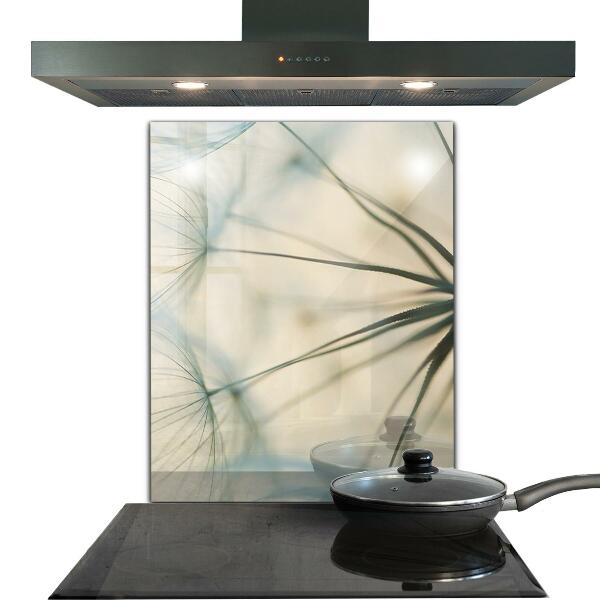 Konyhai hátfal panel Gyönyörű finom pitypang