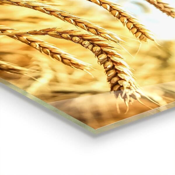 Konyhai hátfal panel Az anyatermészet gabona ajándékai