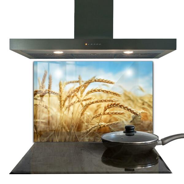 Konyhai hátfal panel Az anyatermészet gabona ajándékai