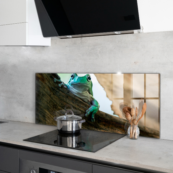 Konyhai panel Afrikai béka portré