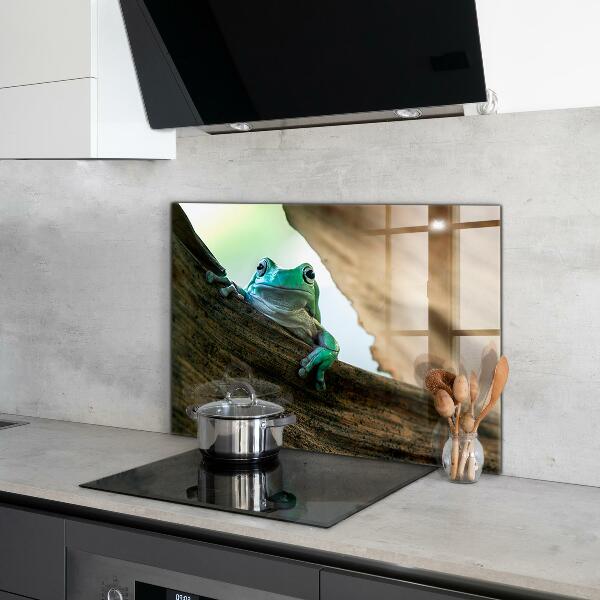 Konyhai panel Afrikai béka portré