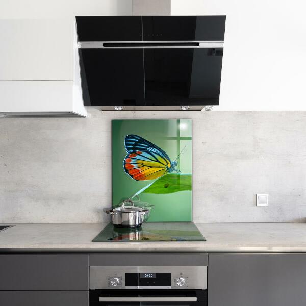 Konyhai panel Pillangó pihen egy levél