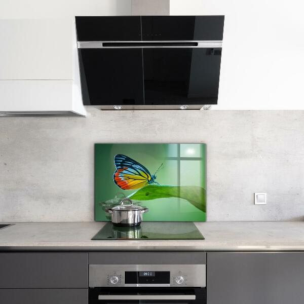 Konyhai panel Pillangó pihen egy levél