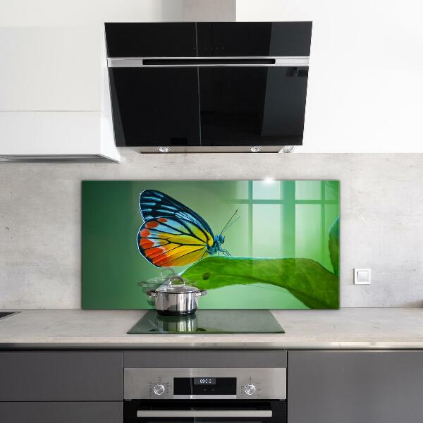 Konyhai panel Pillangó pihen egy levél