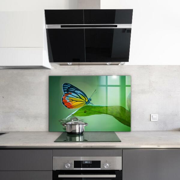 Konyhai panel Pillangó pihen egy levél