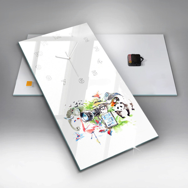 Téglalap alakú üvegóra Zoológus