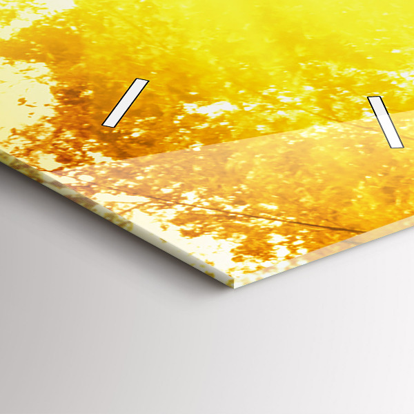 Téglalap alakú üvegóra Békés természet