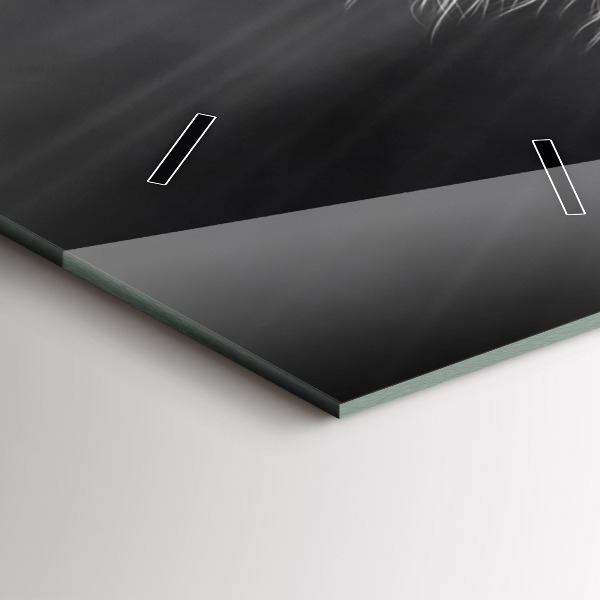 Téglalap alakú üvegóra Vágtató ló