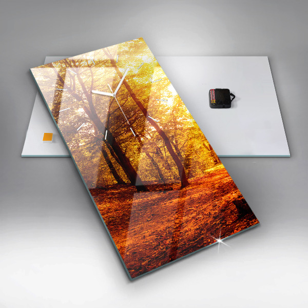 Téglalap alakú üvegóra Erdei táj a napon