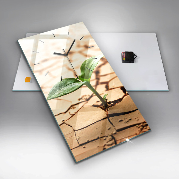 Téglalap alakú üvegóra Száraz talajba ültessük