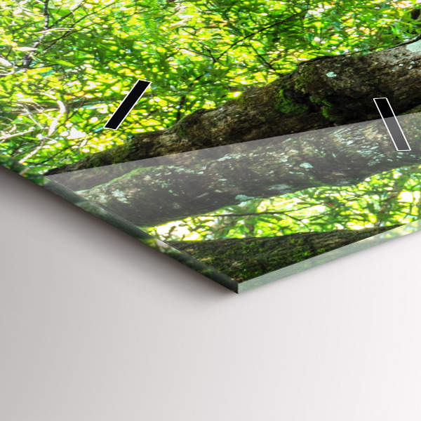 Téglalap alakú üvegóra Vízesés az erdőben