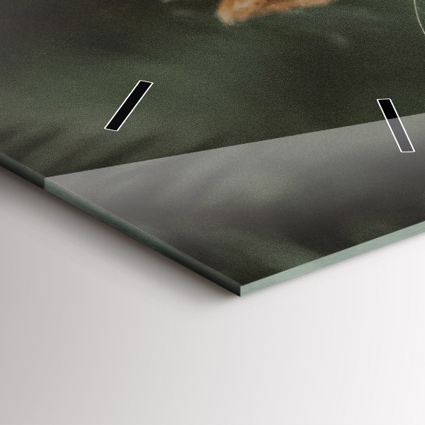 Téglalap alakú üvegóra Mókus és vad természet