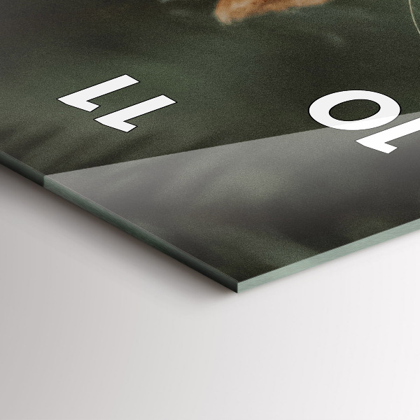 Téglalap alakú üvegóra Mókus és vad természet