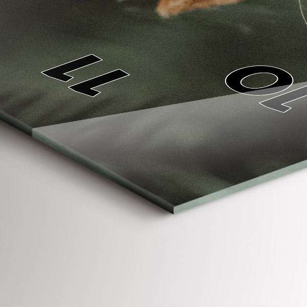 Téglalap alakú üvegóra Mókus és vad természet