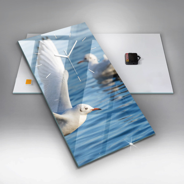 Téglalap alakú üvegóra Sirályok Gdyniában