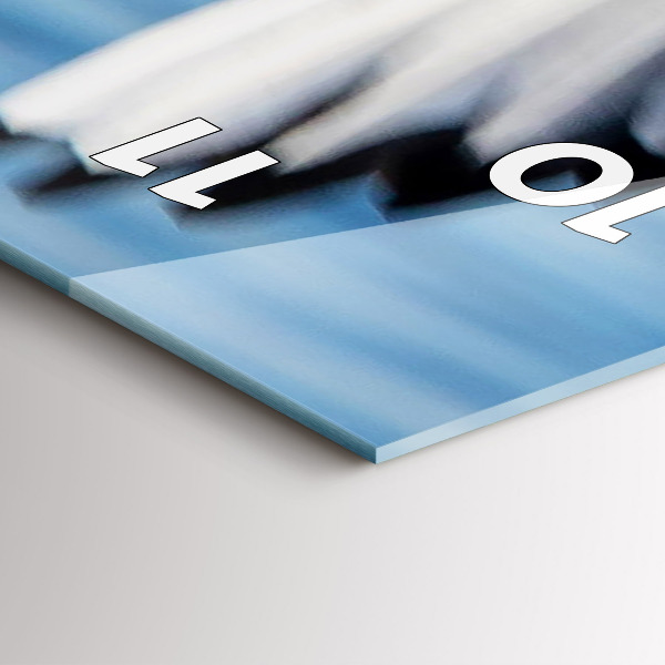 Téglalap alakú üvegóra Sirályok Gdyniában