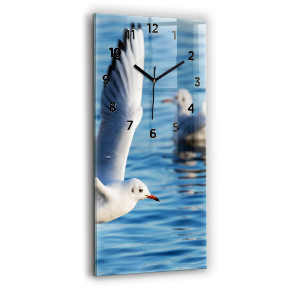 Téglalap alakú üvegóra Sirályok Gdyniában