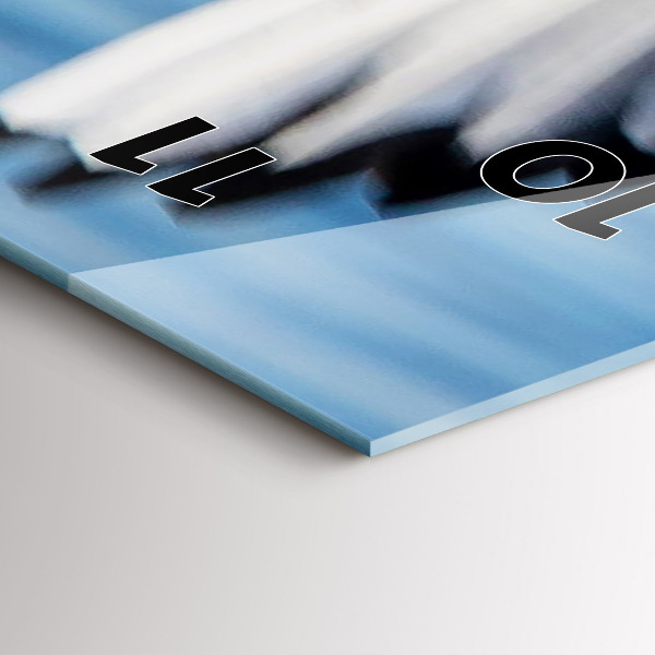 Téglalap alakú üvegóra Sirályok Gdyniában