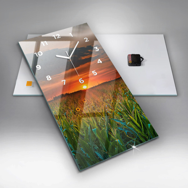 Téglalap alakú üvegóra Napraforgó a réten