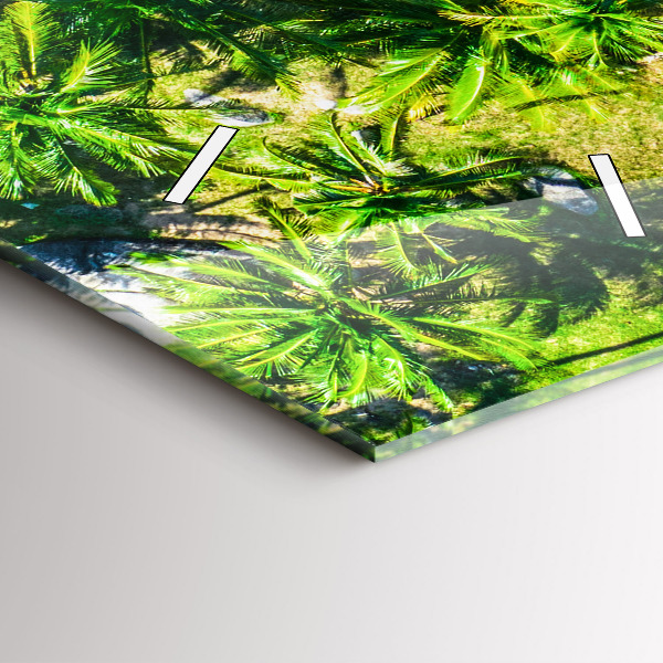 Téglalap alakú üvegóra Trópusi strand Koh Tao