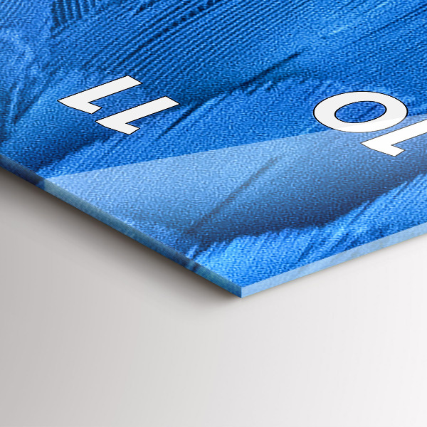 Téglalap alakú üvegóra Madár toll