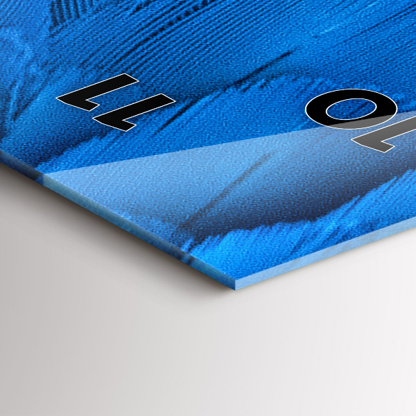 Téglalap alakú üvegóra Madár toll