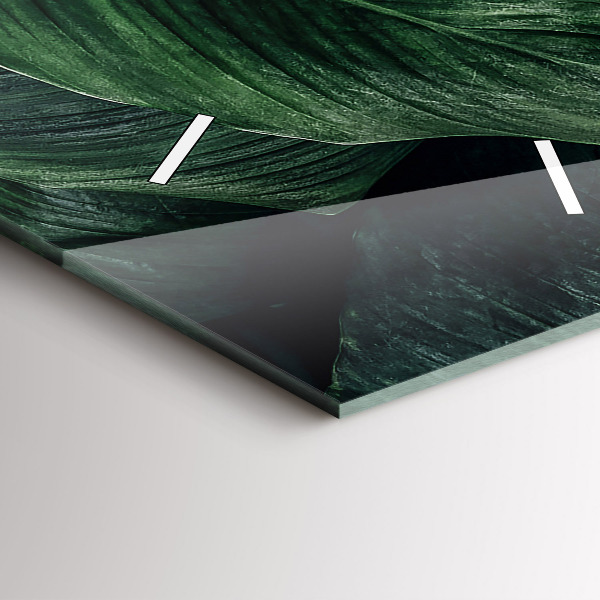 Téglalap alakú üvegóra Trópusi szörny