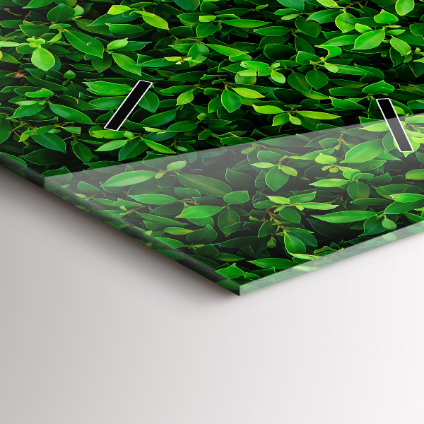 Téglalap alakú üvegóra Sövénylevelek