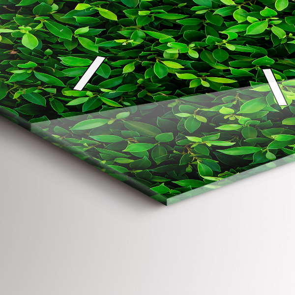 Téglalap alakú üvegóra Sövénylevelek