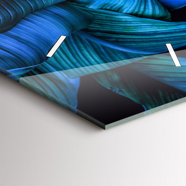 Téglalap alakú üvegóra Trópusi természet