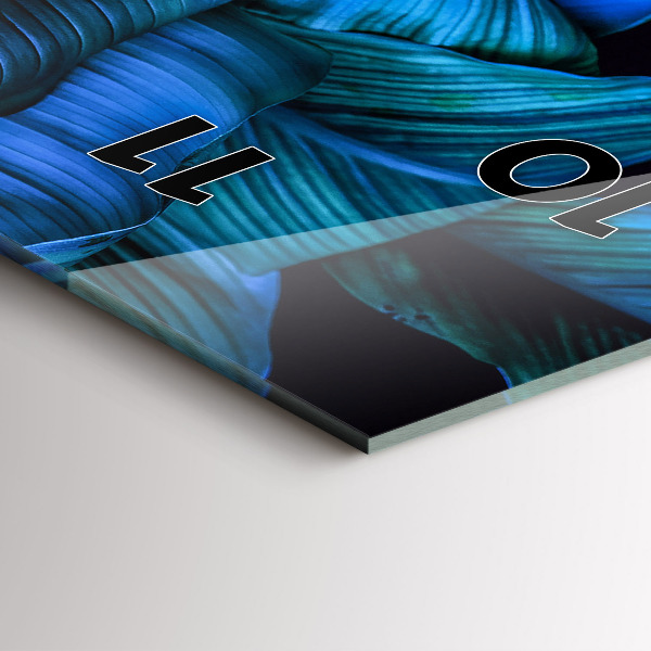 Téglalap alakú üvegóra Trópusi természet