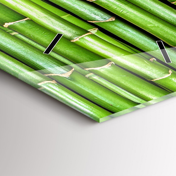 Téglalap alakú üvegóra Ázsiai bambusz